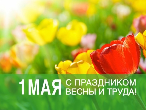 С праздником Весны и Труда! - Новости организации