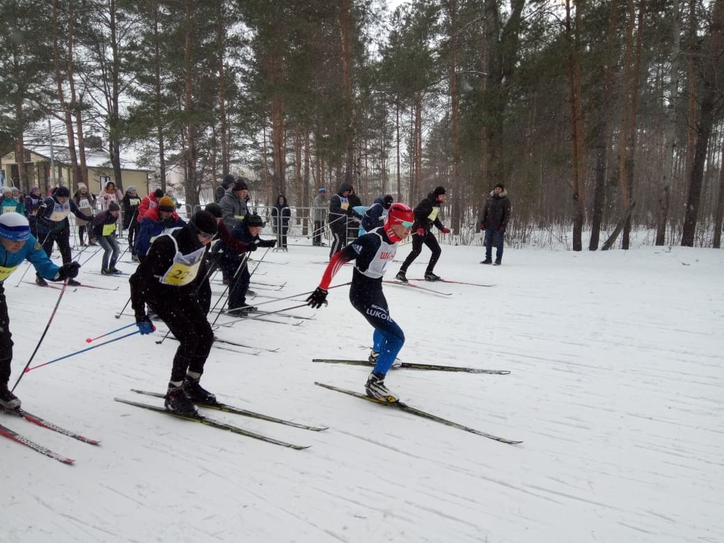 Педагоги встали на лыжи - Новости организации