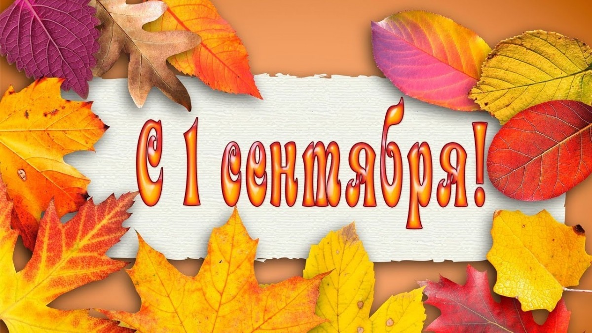 С началом нового учебного года! - Новости организации